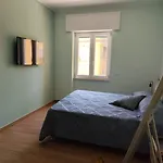 Apartment Il Ciucciariello